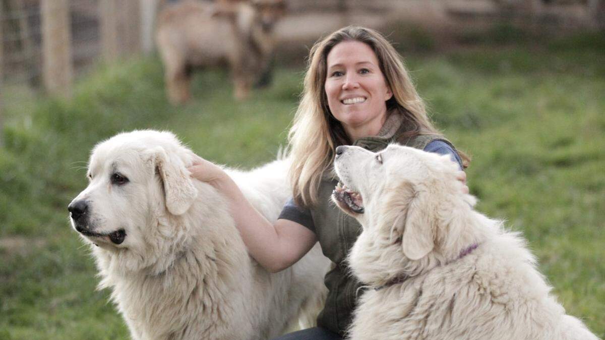 Classic Hound Collar owner Ellen Greenaway with her two Great Pyrenese in Boston Harbor.