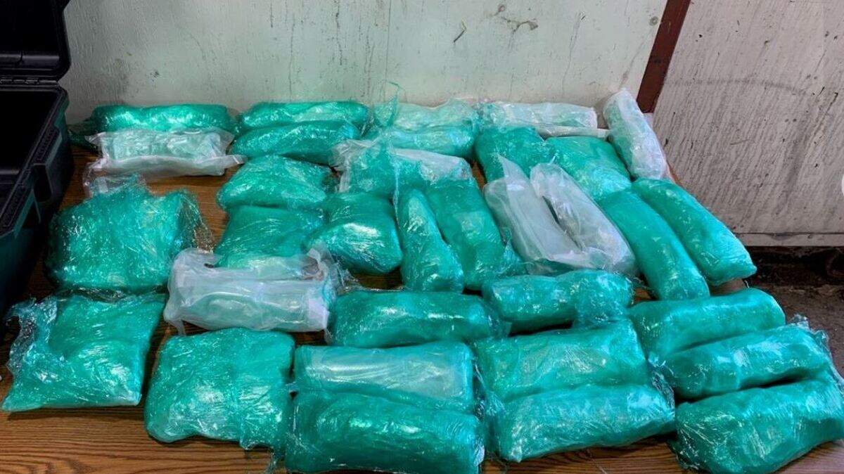 A 43-year old man on Saturday was arrested on suspicion of multiple crimes, including the possession of nearly 100 pounds of drugs, according to the Pierce County Sheriff’s Department.