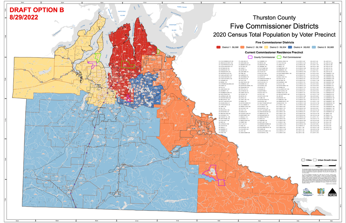 A map of Option B showing potential districts for larger Thurston County and Port of Olympia commissions. Option B was one of two options that a redistricting committee moved forward for review Friday.