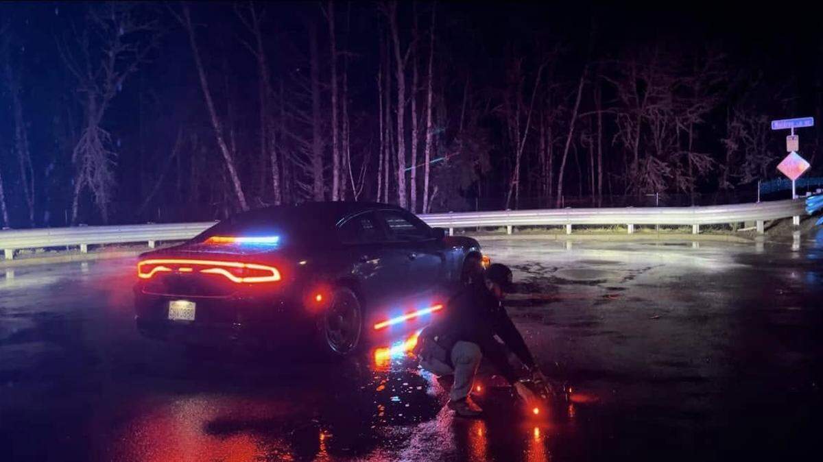 Sheriff Derek Sanders posted on social media Friday morning about a police pursuit that ended in an arrest after the suspect climbed 50 feet up a tree that stood over a 200-foot cliff above the Puget Sound.