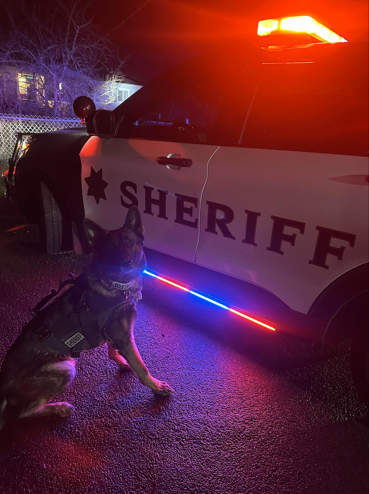 K9 dog Mac helped Thurston County deputies track down people suspected of robbing a woman at gunpoint Wednesday, Feb. 4, 2026.