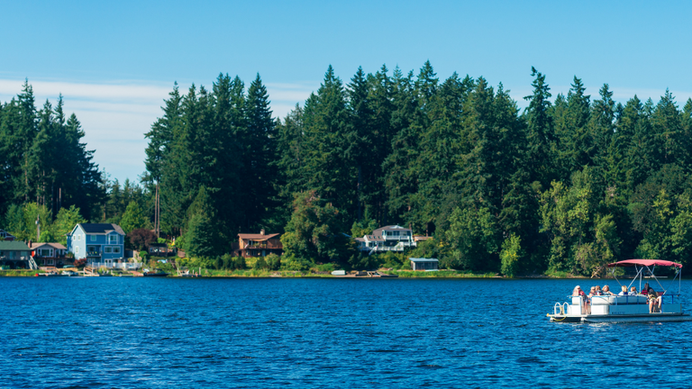 Toxic algae reported at two Thurston County lakes, health officials say