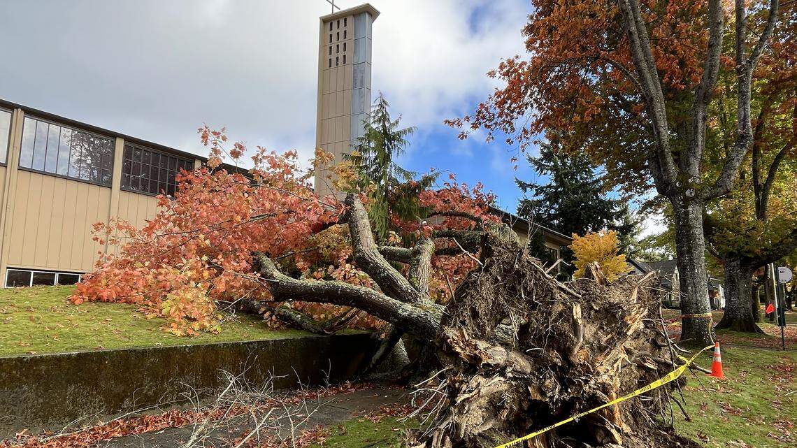 Thousands still without power in Thurston County on Monday after weekend storm