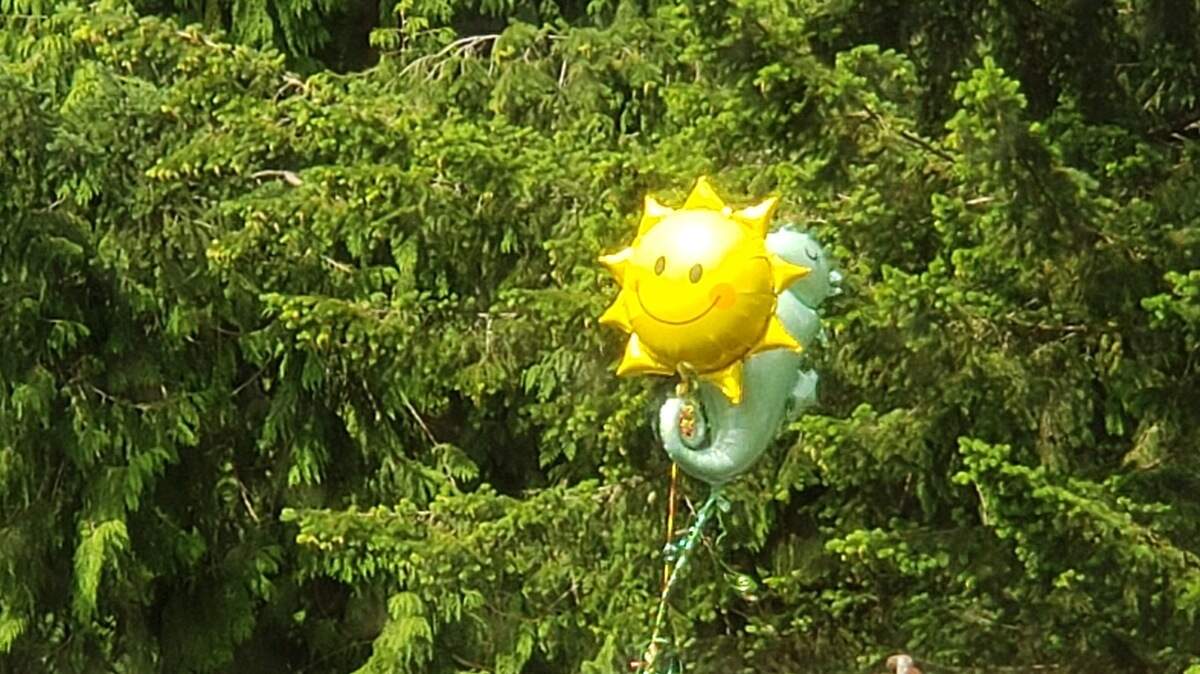 A sun and seahorse balloon float outside Namaste Kanz’s hospital room window. Her husband managed to float them up to her on the third floor using a fishing line.