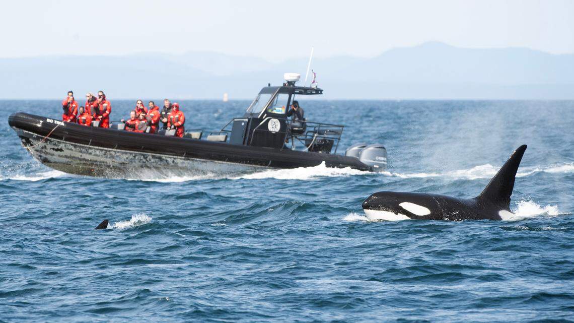 Next time you go to Friday Harbor, stop to check out historic Port Townsend on the way
