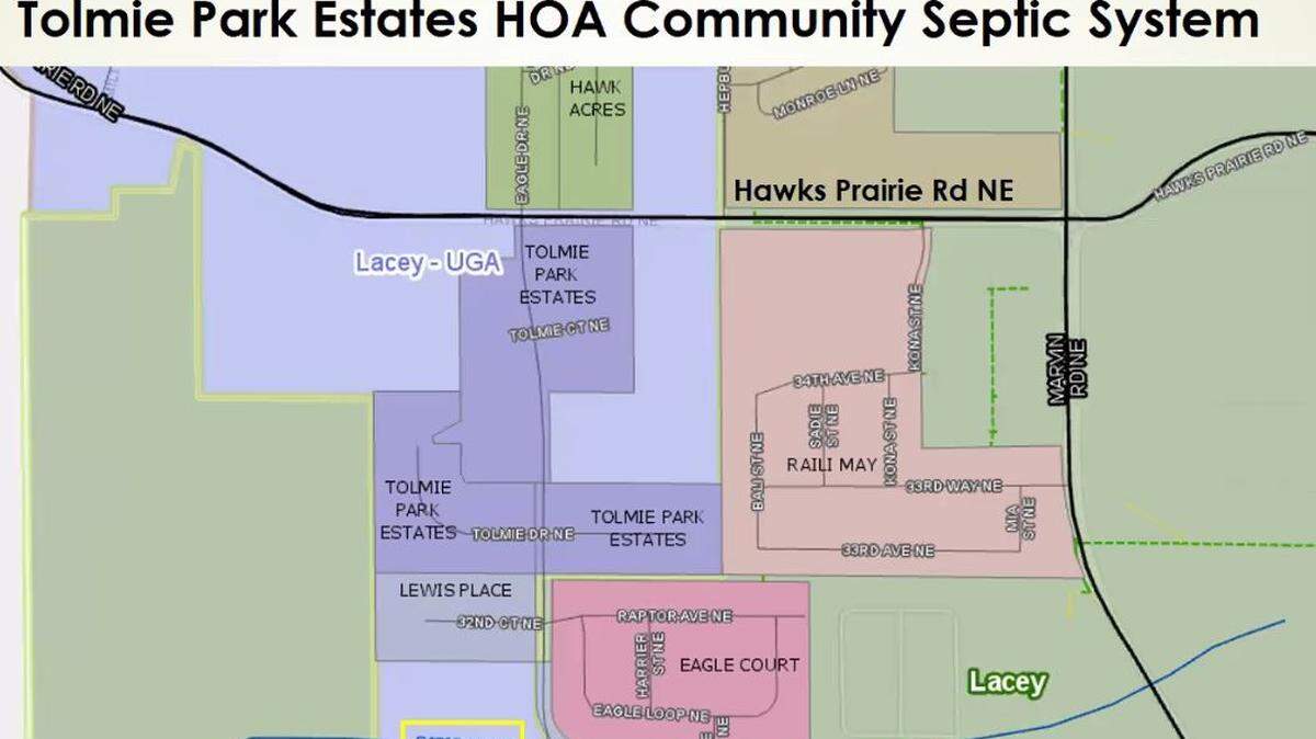 Tolmie Park Estates, shown in purple, has asked the city of Lacey for help in converting its septic system to city sewer.