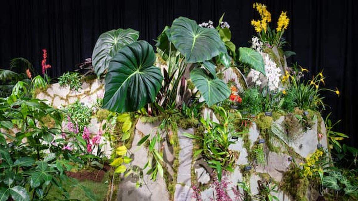 5 reasons to make the trek to Seattle for the Northwest Flower and Garden Show