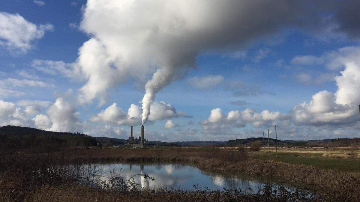 The Washington Department of Fish and Wildlife says it is pausing efforts to acquire thousands of acres of TransAlta land in Centralia as part of a controversial effort to transform the former coal mine into a wildlife refuge.