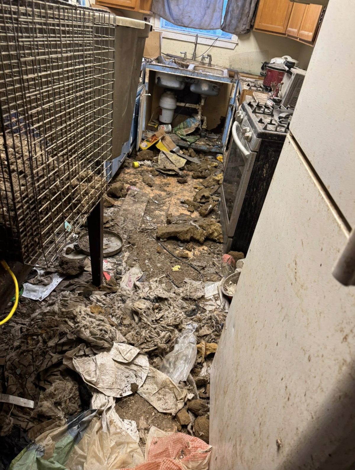 The Thurston County Sheriff’s Office shared an image of a dirty kitchen on a property that housed dozens of poorly treated animals. Deputies and Joint Animal Services rescued the animals on Aug. 15.