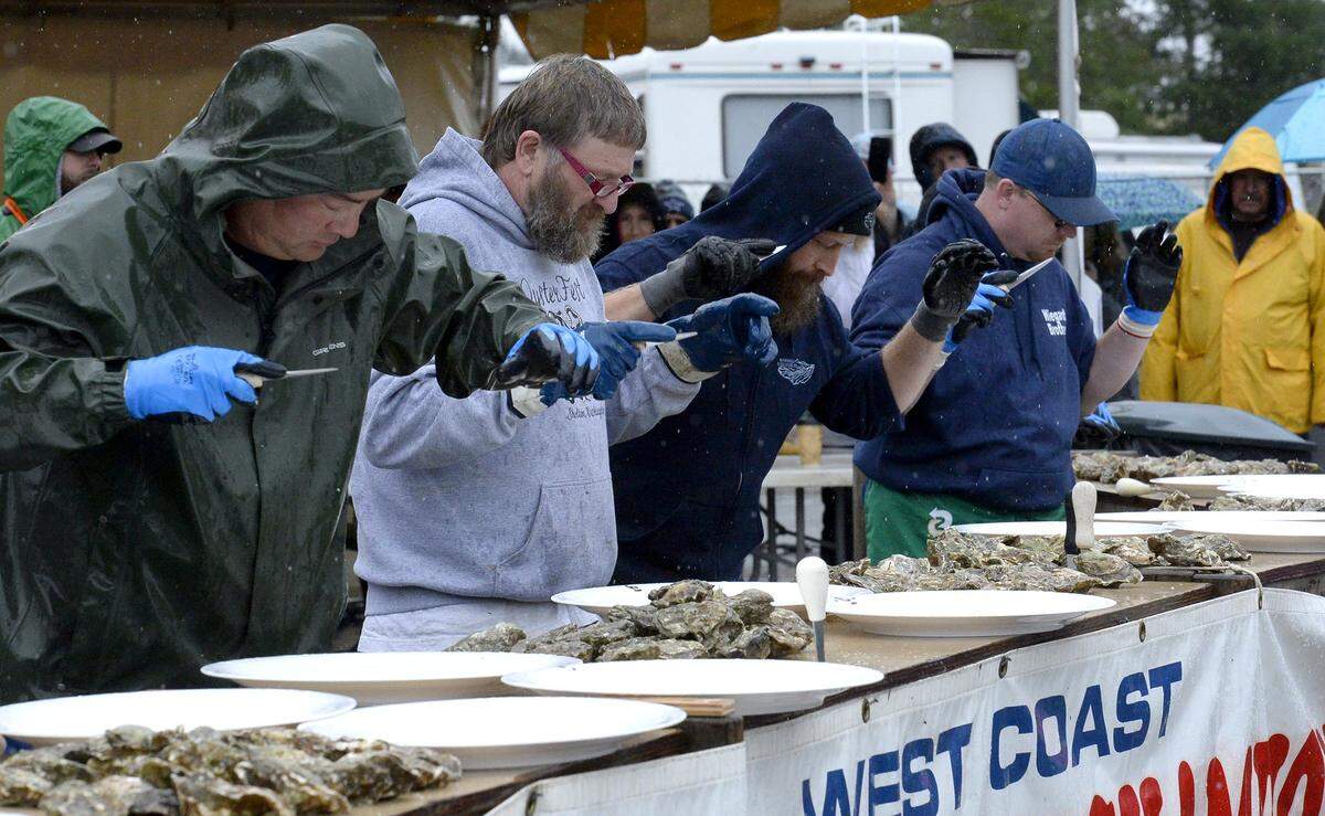 Oyster shuckers Ken Wiegardt, Oliver Gray, Anthony Pane and Charlie Skillings (left-right) join fellow competitors Caterina Pop Mendoza and Alejandro Pablo Martin as they set to speed through their allotted 24 oysters during the West Coast Half Shell Oyster Shucking event at the 2018 Annual Oysterfest in Shelton.