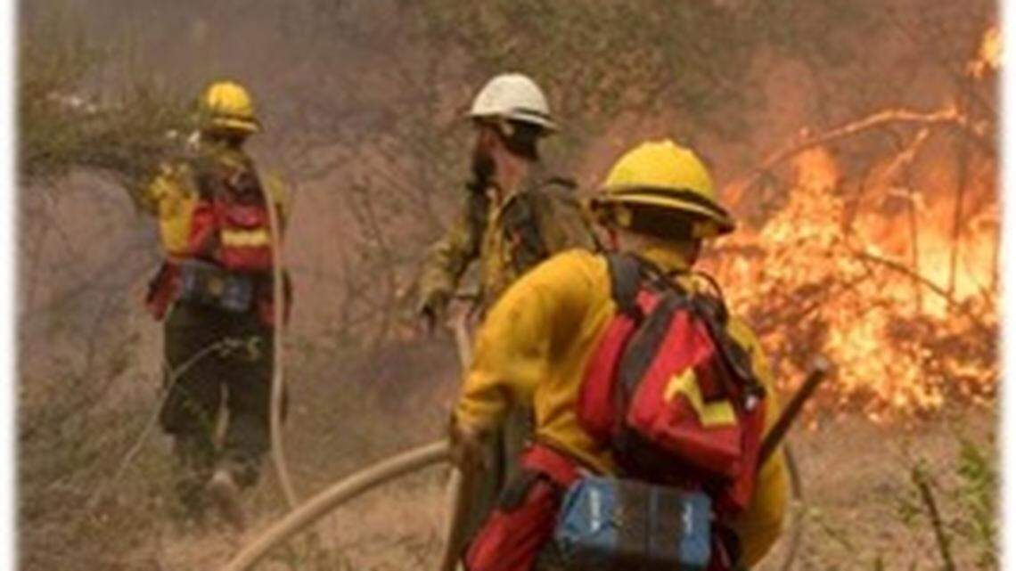 The state Department of Natural Resources is looking for 550 seasonal workers for the 2019 wildfire season, the agency announced.