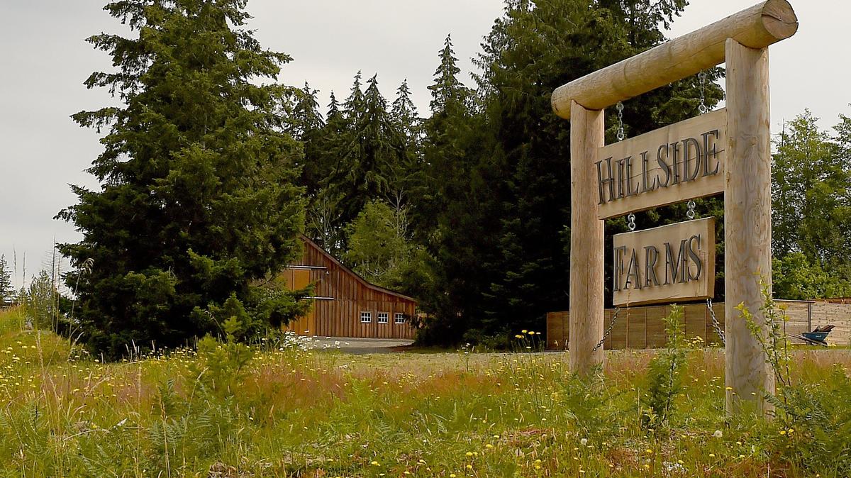 About 10 neighbors blasted Thurston County Commissioners on Tuesday, raising objections about a wedding venue site near Tenino called Hillside Farms, which they say is operating well beyond the scope of what is allowed by the county for a rural residential area.