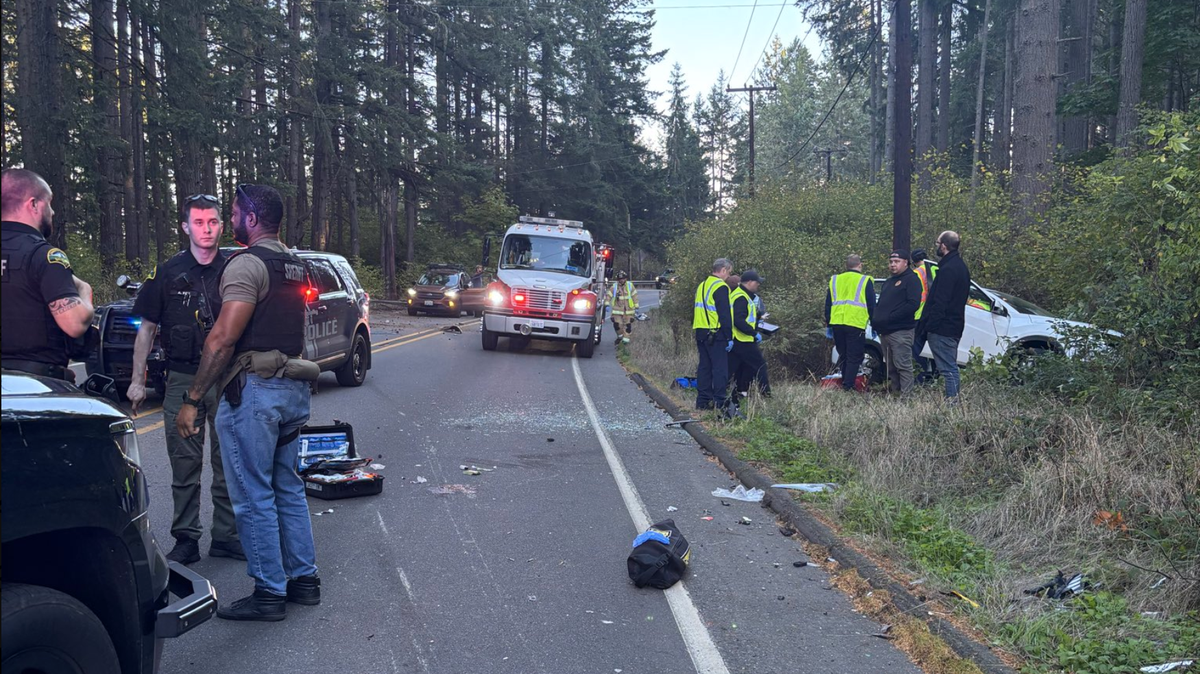 Washington State Patrol Trooper Kameron Watts shared a photo of the aftermath of a collision that occurred on State Route 510 near Old Pacific Highway Southeast on Wednesday, Oct. 15.