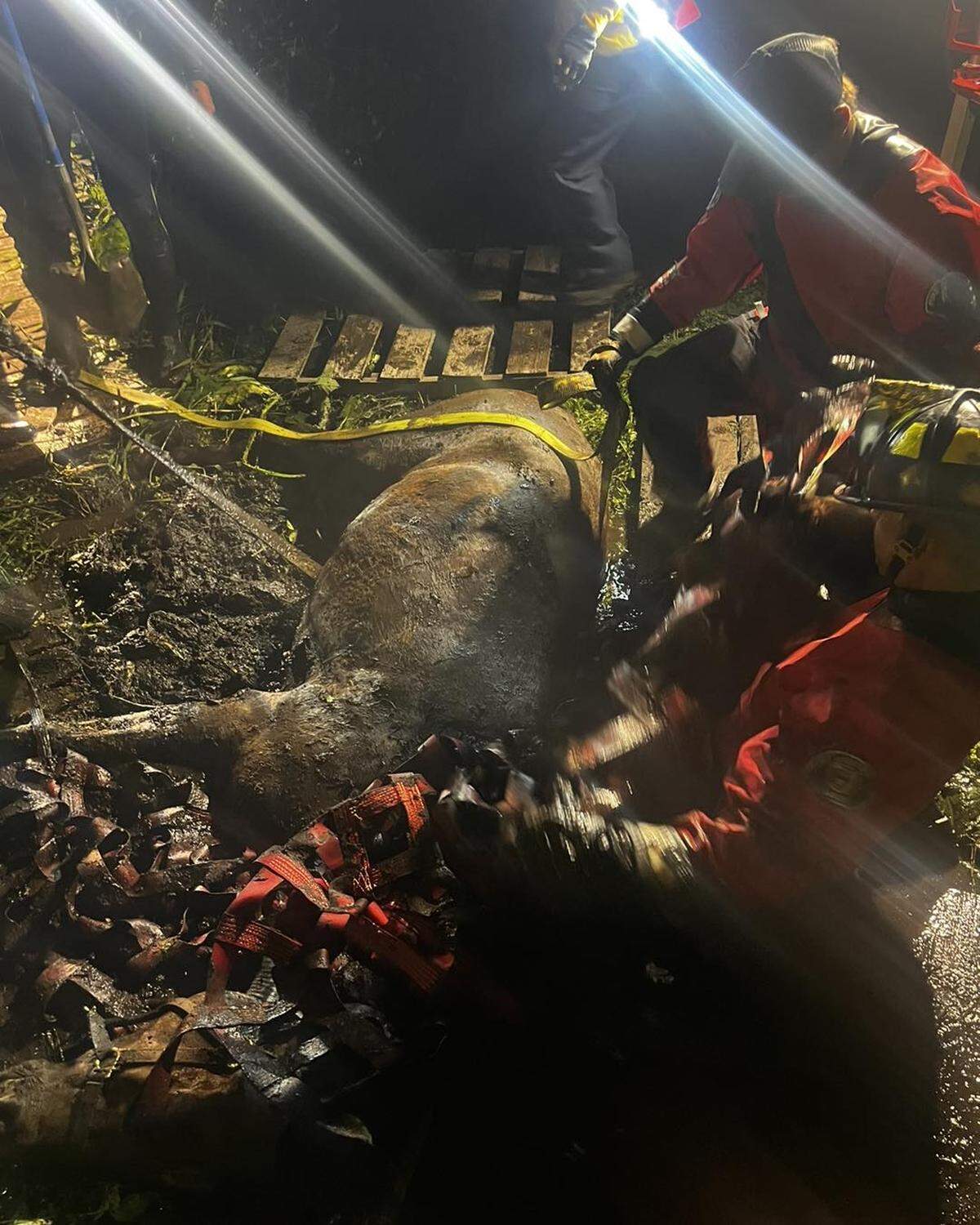 Lacey Fire District 3 was called to Carpenter Road near Hicks Lake Thursday, Aug. 8, to rescue a horse named Nanna from the mud.&nbsp;Using a tractor as an anchor point, a large animal net, ropes and a 5-1 haul system, the horse was freed from the mud.
