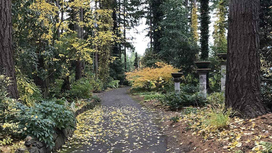 Read a book or keep a journal to improve your garden design and green-thumb skills