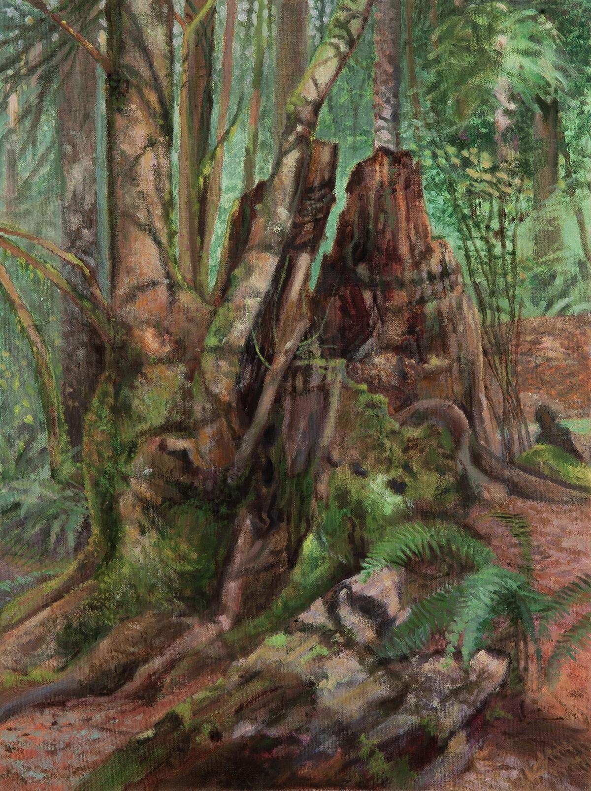 Kathy Gore Fuss of Olympia has spent much of the past year painting a nurse stump in Squaxin Park, circling the tree, painting eight angles, each in a different month. This is one of the paintings.
