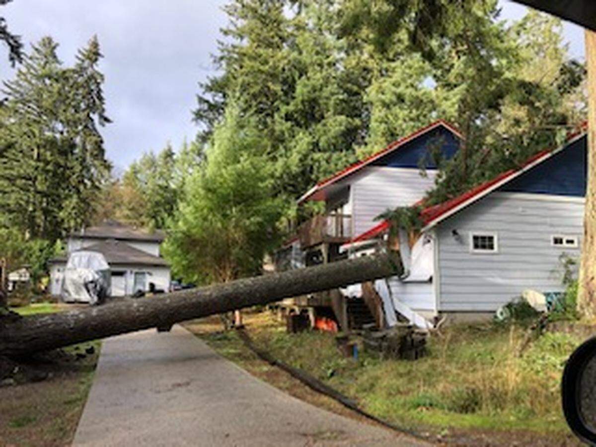 A downed tree lands on a home near Tempo Lake on Thursday.
