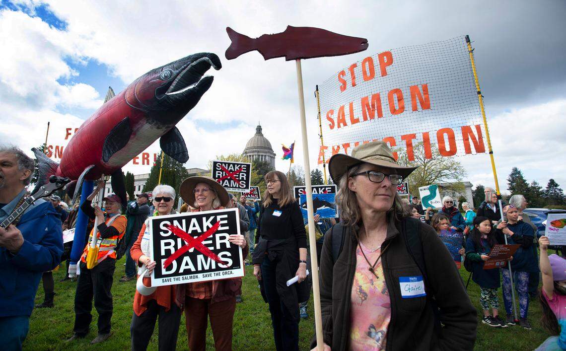 Claire Remsberg of McCall, Idaho, joins marchers calling for the removal of Snake River Dams to aid in salmon recovery during the Stop Salmon Extinction rally and march on the Capitol Campus in Olympia, Washington, on Saturday, April 2, 2022. After a series of speakers at the downtown Olympia Ballroom, the ralliers marched to the Capitol Campus where they formed a human orca mural.