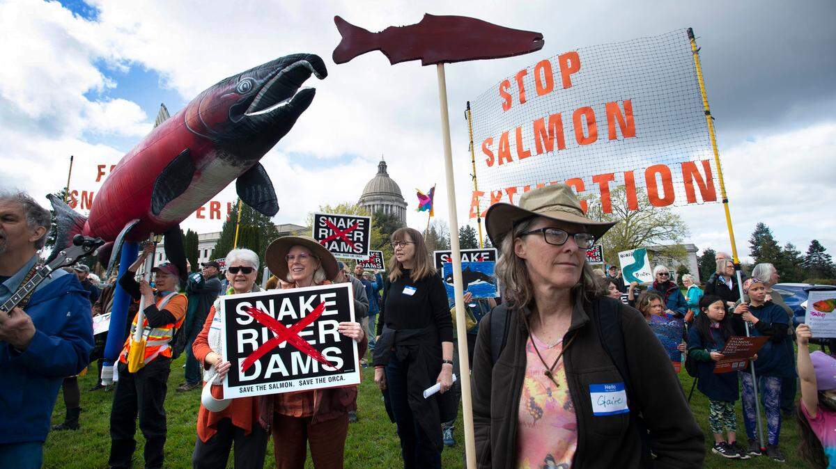 Marchers calling for the removal of Snake River Dams to aid in salmon recovery during the Stop Salmon Extinction rally and march on the Capitol Campus in Olympia in 2022.