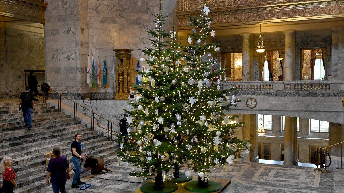 Staff from the Department of Enterprise Services finish decorating the three large noble fir trees after installing them earlier on Tuesday Dec. 3, 2024 at the Capitol Rotunda in Olympia, Wa. Each over 17 feet tall they will be on display through the month with a formal lighting ceremony by the Association of Washington Business slated for 6 p.m. on Friday, Dec. 6.