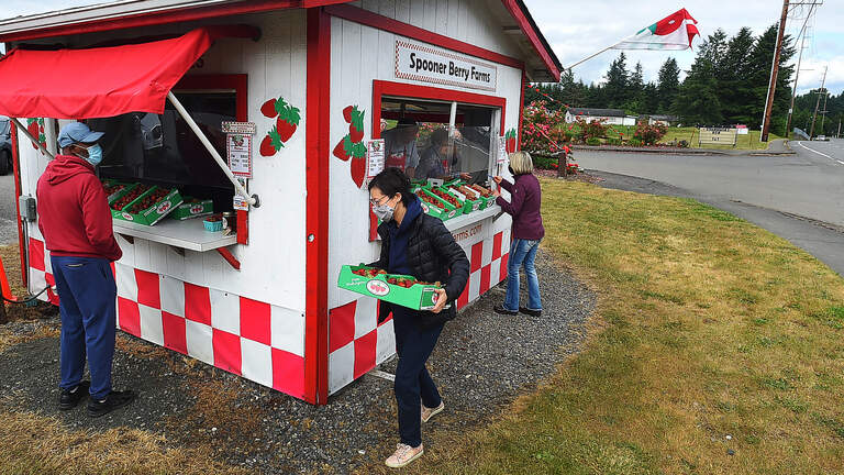 Spooner Berry Farms stand in Olympia threatened by plans for park, owners say
