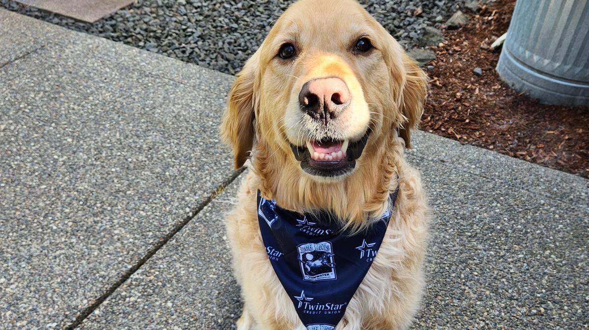 Swag for dogs and their people is just part of the fun at Tumwater’s Dog Days, happening Saturday, June 8, at Pioneer Park.
