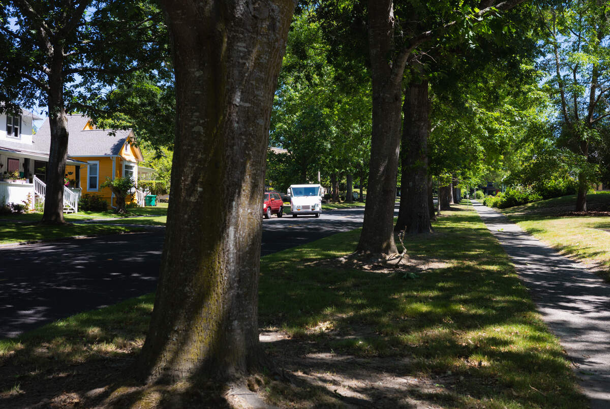 A U.S. Postal Service worker drives down Legion Way Southeast toward Eastside Street in Olympia on Thursday, July 9, 2026.