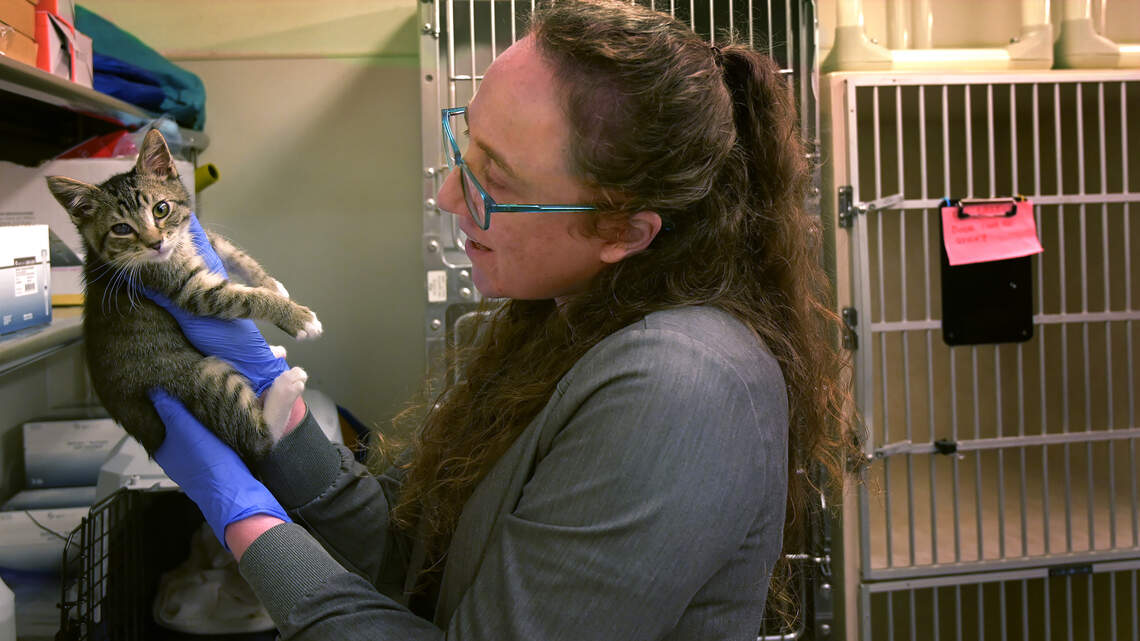 As dog adoptions slow nationwide, Thurston County’s regional animal shelter faces a crisis