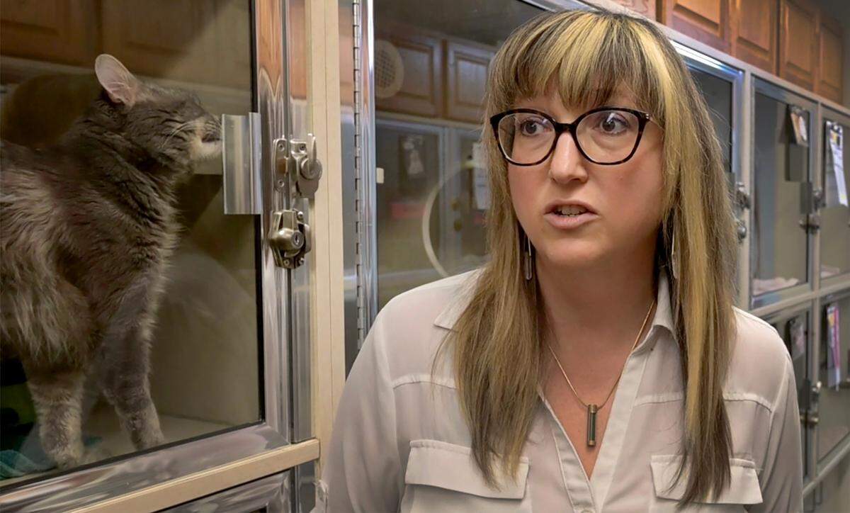 Joint Animal Services executive director Sarah Hock said that the recent seizure of 147 cats from a single Thurston County residence has taxed the capacity of the Thurston County shelter to a critical level Photo taken May 1, 2023