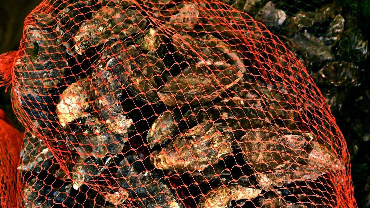 A marine biotoxin has been detected at unsafe levels in shellfish in Eld Inlet, according to the Thurston County Public Health and Social Services department.