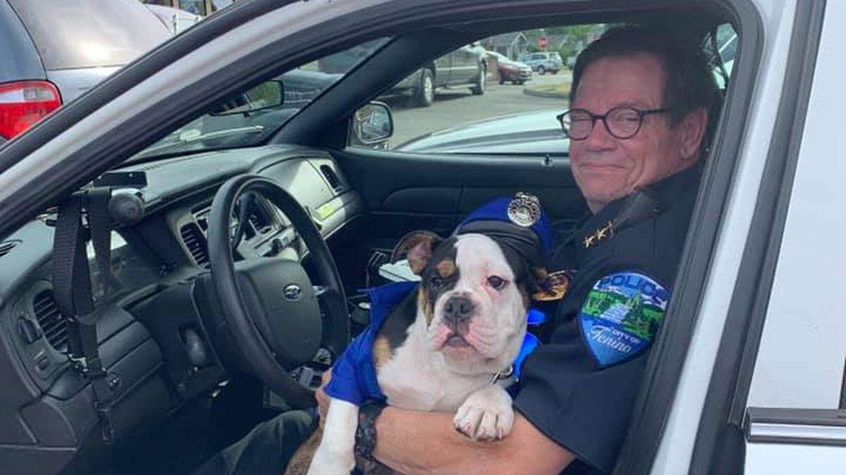 Tenino Police Chief Robert Swain died Sunday night, the department announced.