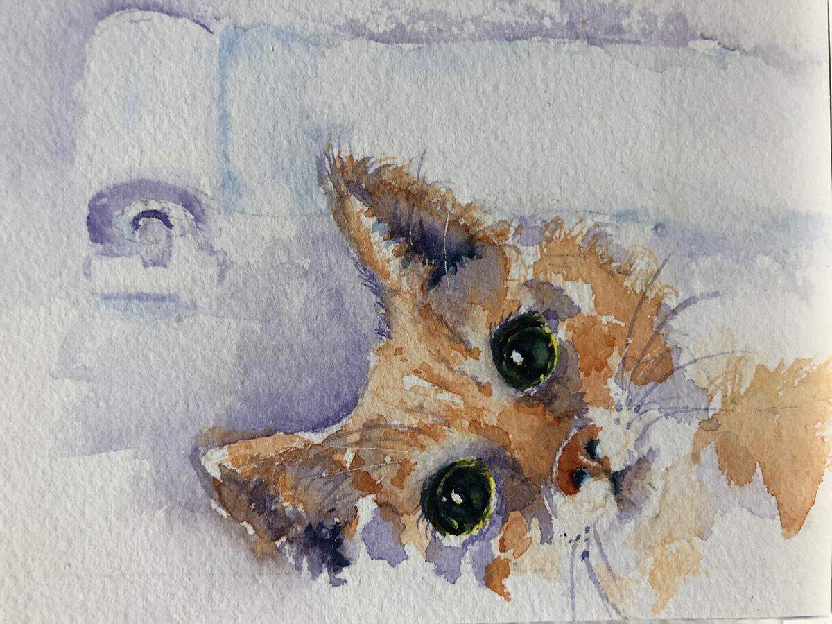 Roxanne Caples’ kitty was eying the toilet paper roll “While You Were Out.”