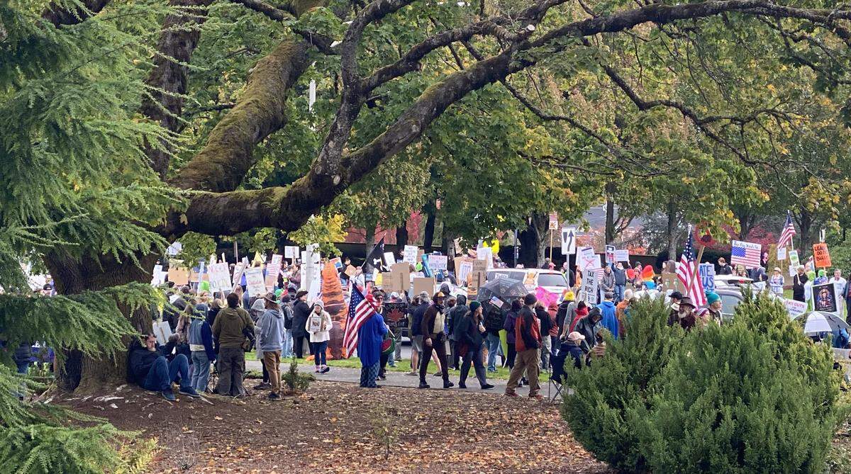 Thousands of people lined Capitol Way and crowded into the west Capitol Campus near Tivoli Fountain between noon and 3 p.m. Saturday to participate in Olympia’s No Kings rally, one of many across the country.