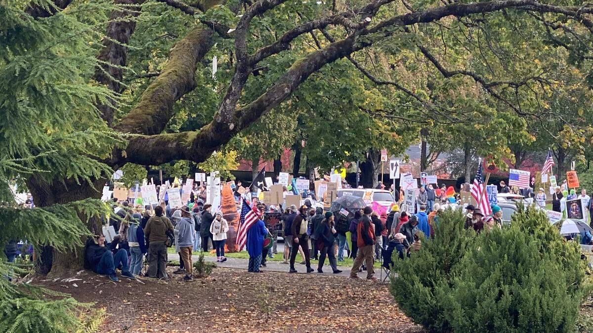 Thousands of people lined Capitol Way and crowded into the west Capitol Campus near Tivoli Fountain between noon and 3 p.m. Saturday to participate in Olympia’s No Kings rally, one of many across the country.
