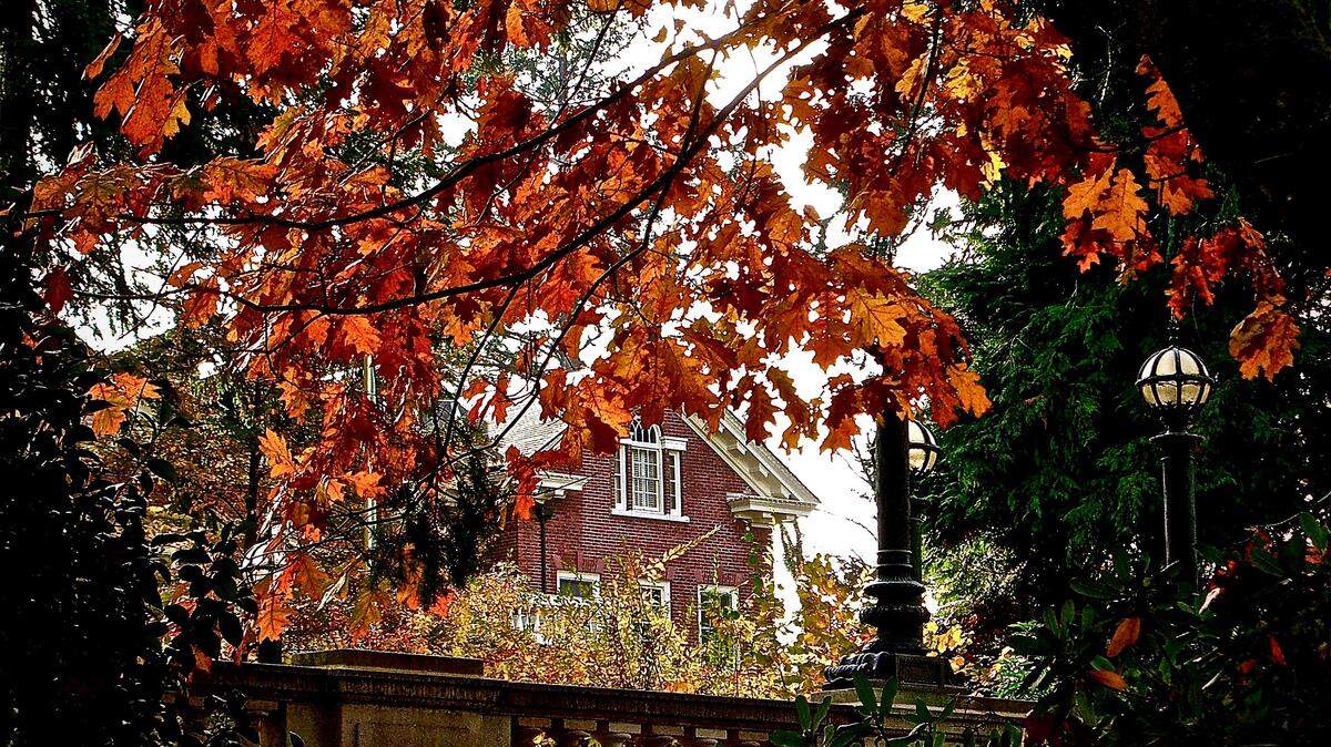 Fall colors at the Governor’s Mansion.