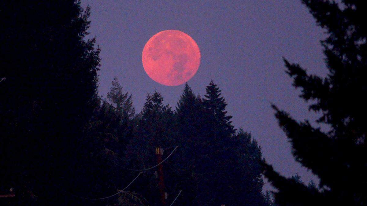 Harvest Moon