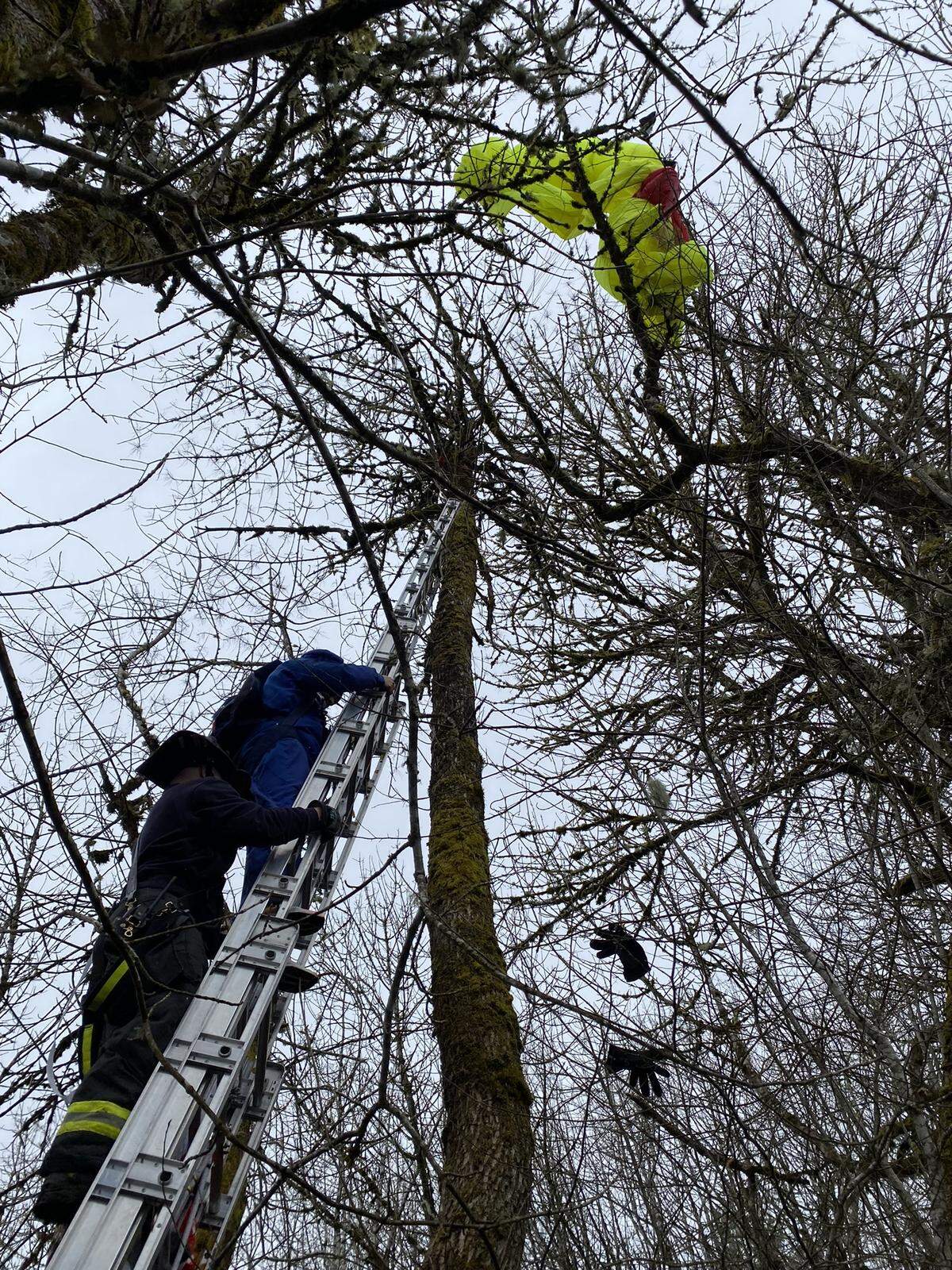 Central Mason Fire and EMS were dispatched on April 1 to reports of a parachutist stuck in a tree.
