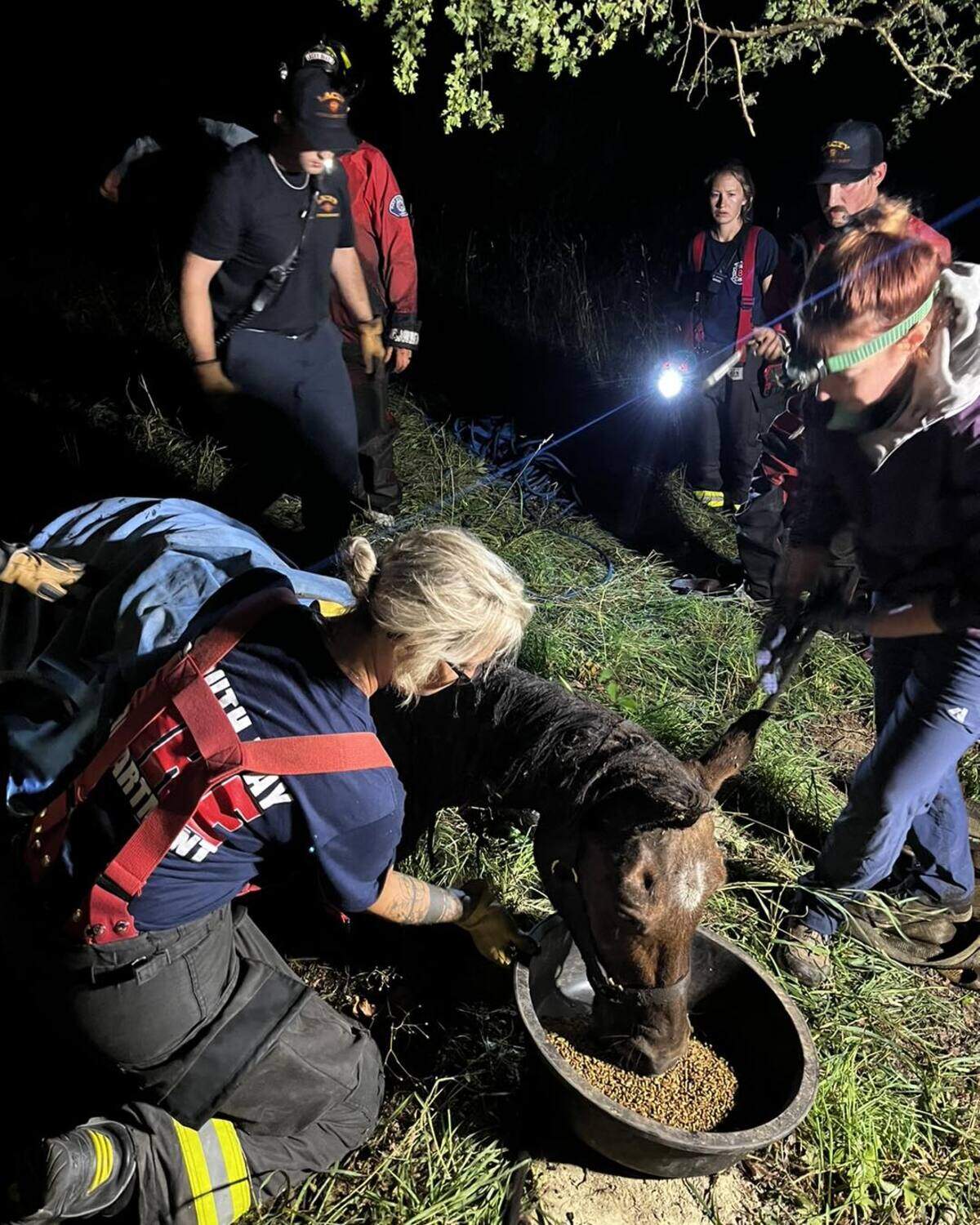 Lacey Fire District 3 was called to a muddy creek bed near Hicks Lake Thursday, Aug. 8, to rescue a horse named Nanna from the mud.&nbsp;A veterinarian from Olympia Equine Veterinary Services sedated Nanna, who was in the mud for about 3 hours before she was pulled out.