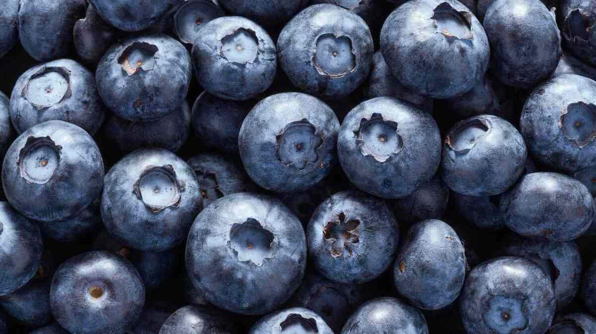 Frozen blueberries sent to Publix in SC upgraded to highest-risk recall for E. c...