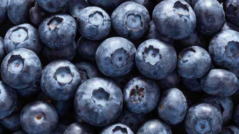 Frozen blueberries sent to Publix in SC upgraded to highest-risk recall for E. coli danger