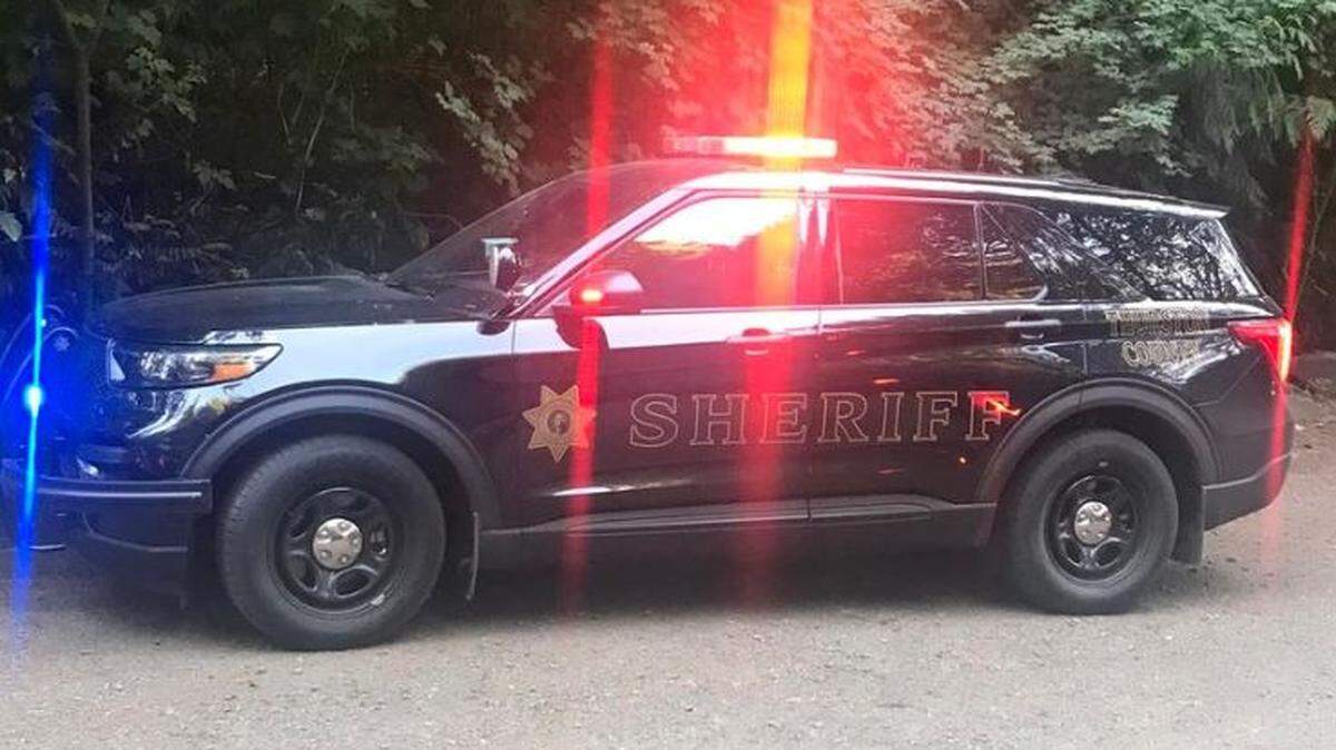 A K9 unit with the Thurston County Sheriff’s Office was attempting to hunt down the suspect of a hit-and-run collision Thursday when they were stopped in their tracks by a cougar.