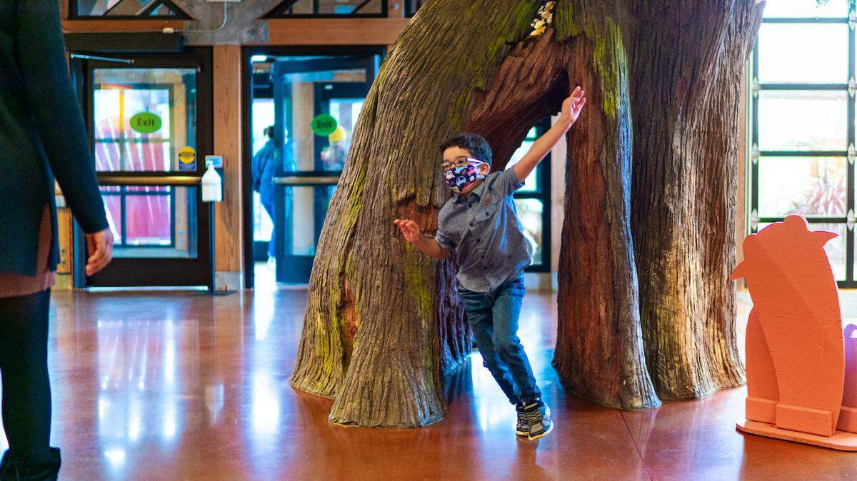 The Hands On Children’s Museum in downtown Olympia has reopened again.
