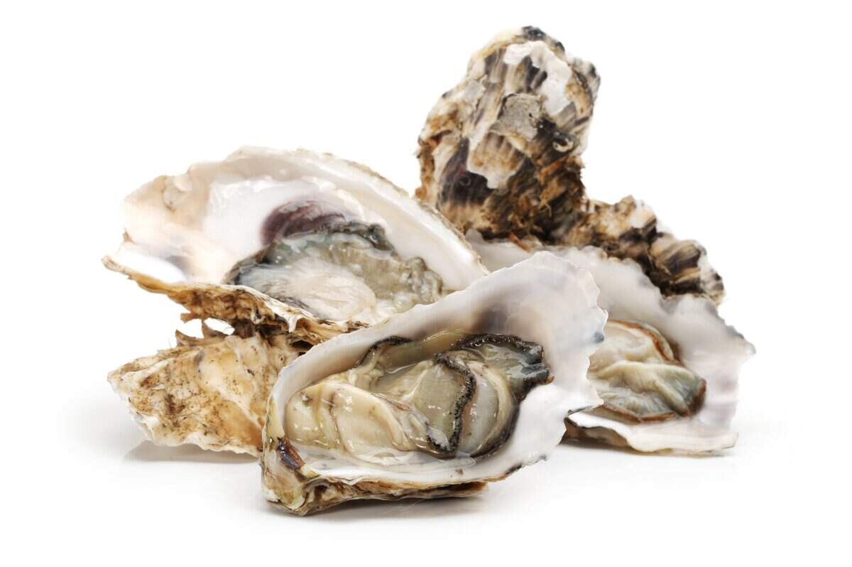 Mmmmmm oysters. Get some to eat, watch them get shucked, or both, at this weekend’s Oysterfest.