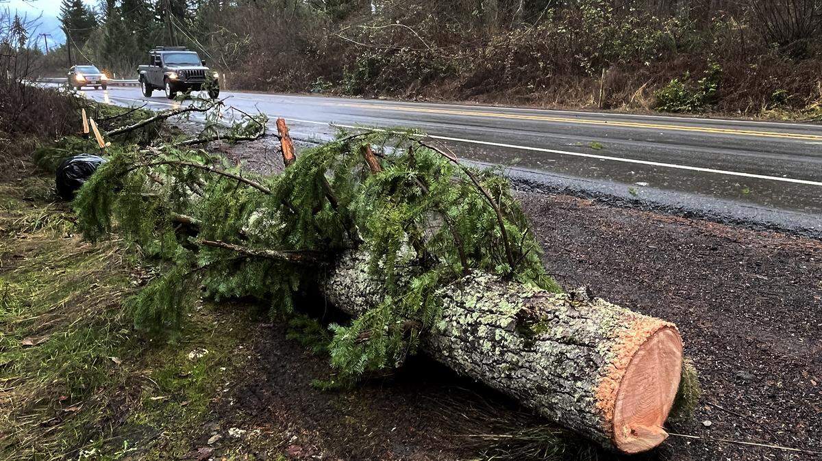Both directions of State Route 510 east of Lacey were closed Monday morning while crews worked to remove a tree from the road. It took nearly three hours for the road to be reopened. A representative with Lacey Fire District 3 said the tree fell in the area near the train tracks, around the junction of 510, Old Pacific Highway and Meridian Road Southeast.