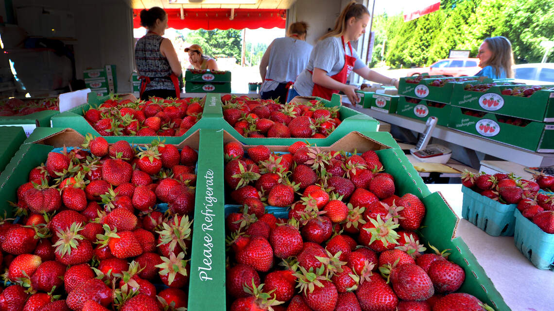 After conflict with city, Spooner Berry Farms shares update on Olympia stand