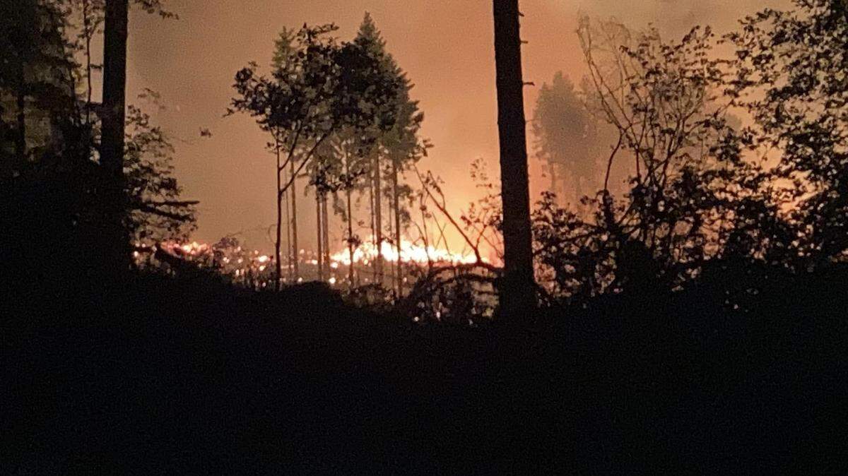 The Capitol Forest fire started about 9:30 p.m. Saturday night.