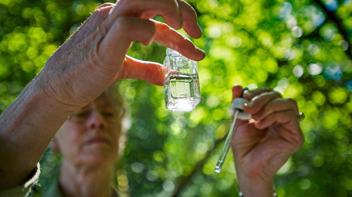 Dr. Wood: 7 things you can do to keep Thurston County’s water clean