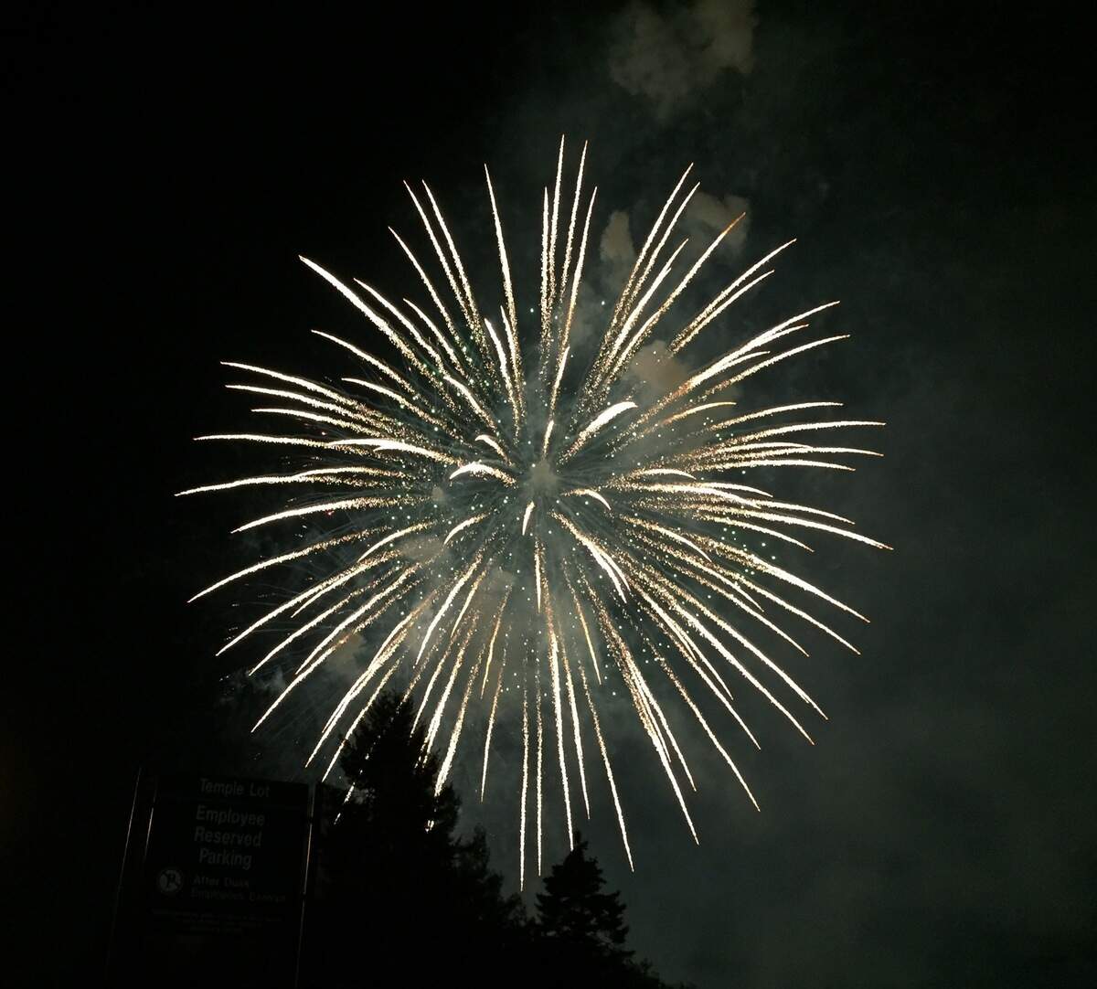 Thurston County’s Fourth of July fireworks shows are back. Lacey and Tumwater are ready to light the skies July 3 and 4.