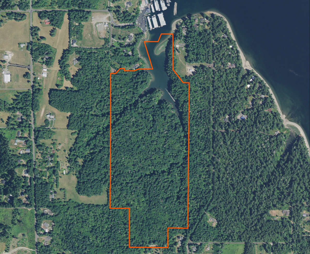 Aerial of the Land Trust’s recently protected Baird Cove estuary, an important rearing habitat for juvenile salmon and high-priority shoreline for salmon recovery.