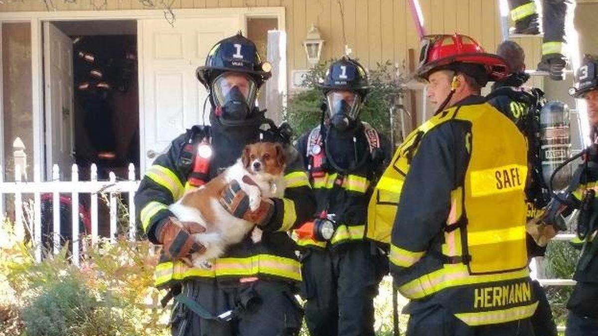 A dog was rescued during a fire at an Olympia residence in the 200 block of San Mar Drive Northeast on Monday, according to the Olympia Fire Department.
